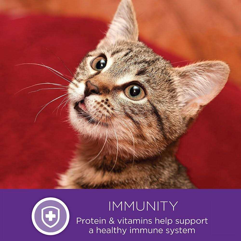 Wellness Healthy Indulgence Natural Grain Free Gravies and Gravy Cat Food Pouch - Pet Supplies online store