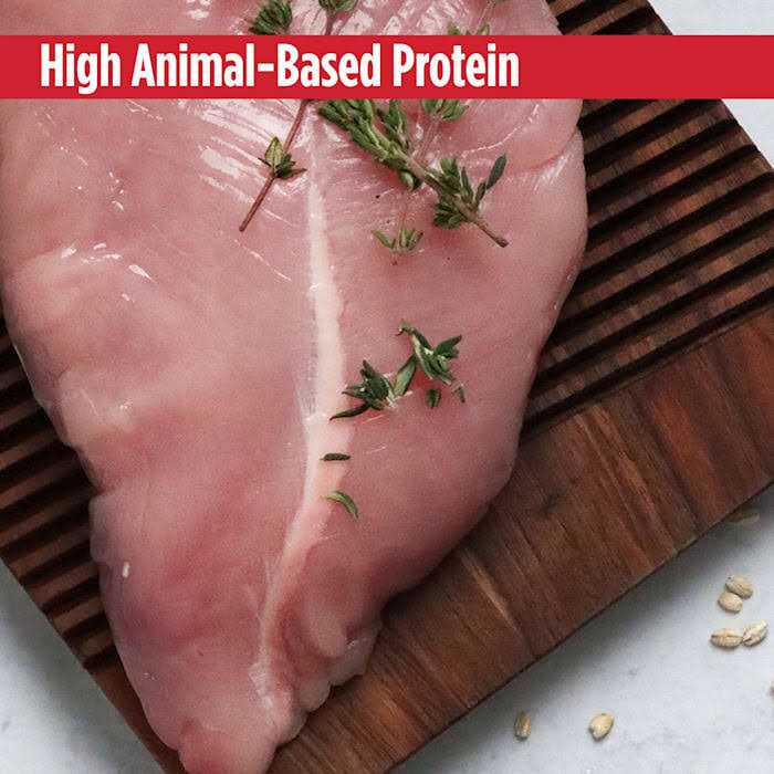 Nulo MedalSeries Turkey Small Breed Adult Dry Dog Food - Pet Supplies online store