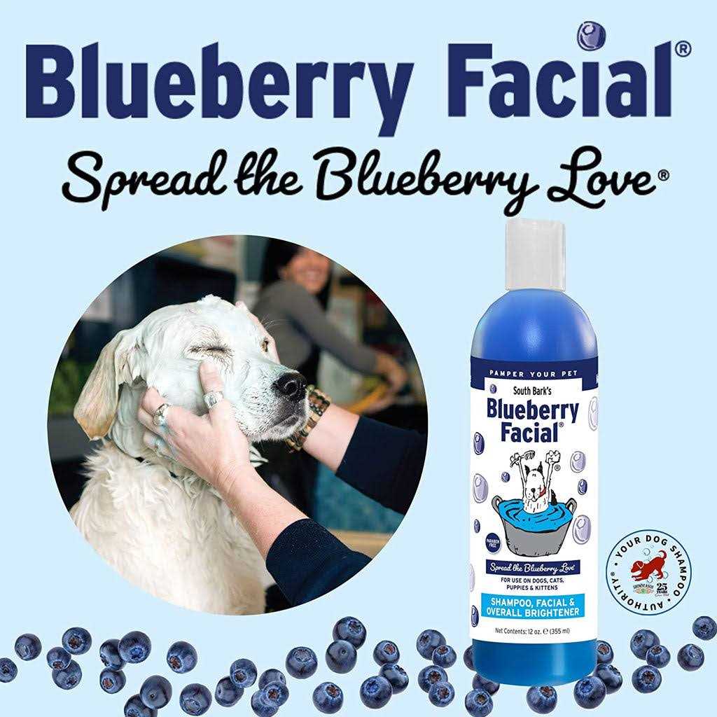 South Bark Blueberry Facial - Pet Supplies online store