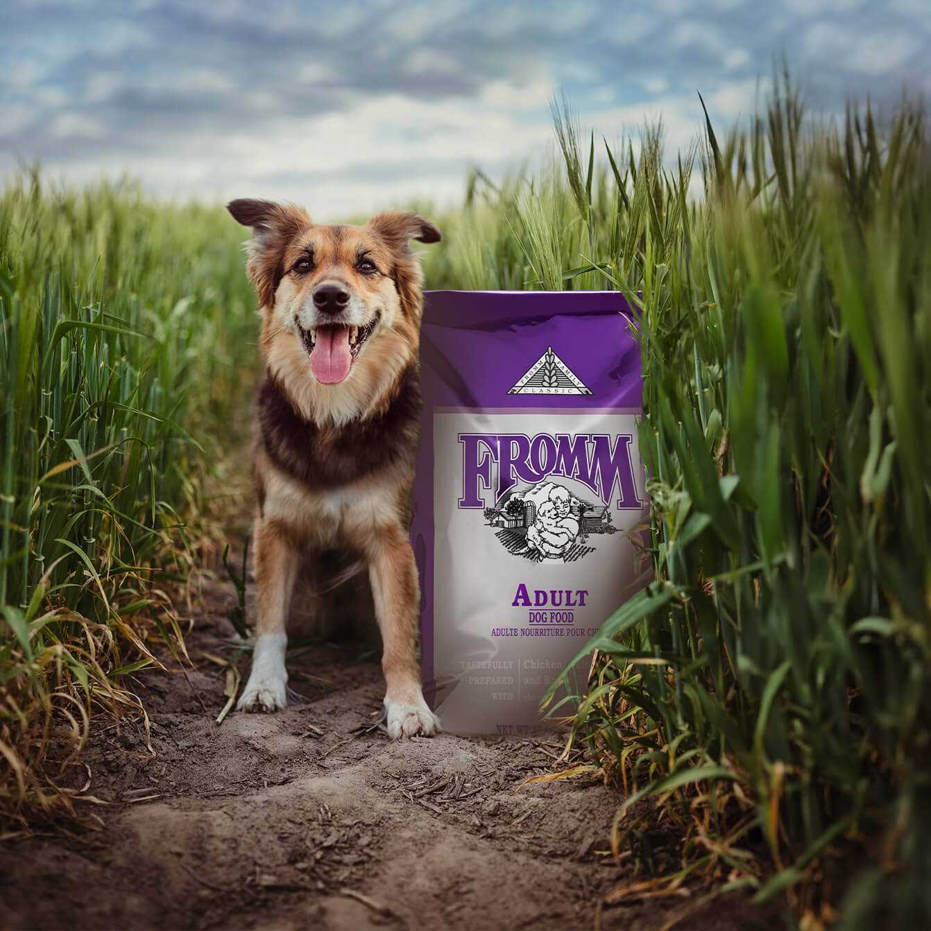 Fromm Classic Adult Dog Food - Pet Supplies online store