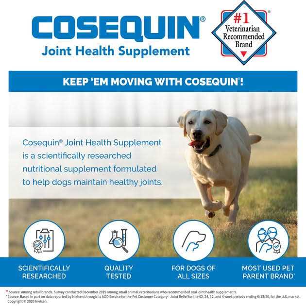 Cosequin DS for Dogs - Pet Supplies online store