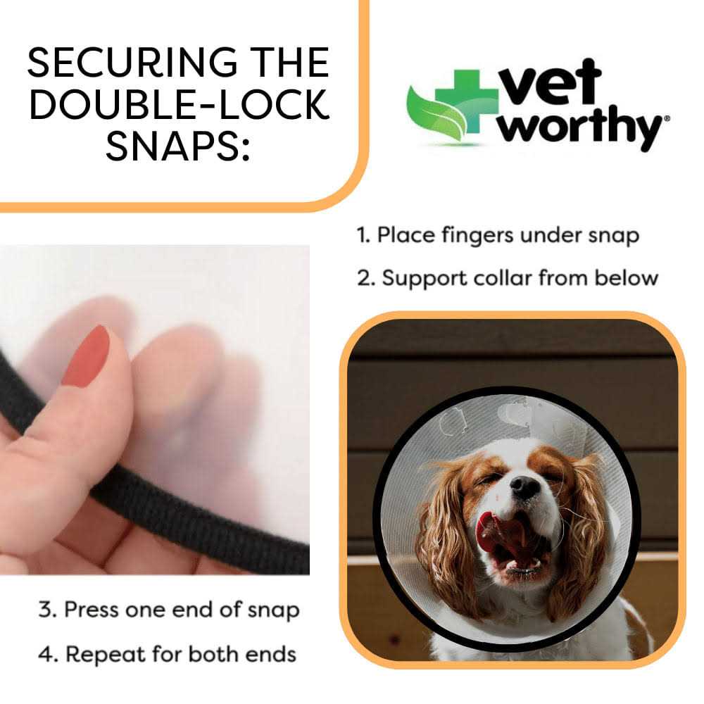 Vet Worthy Protective Cone Collar - Pet Supplies online store