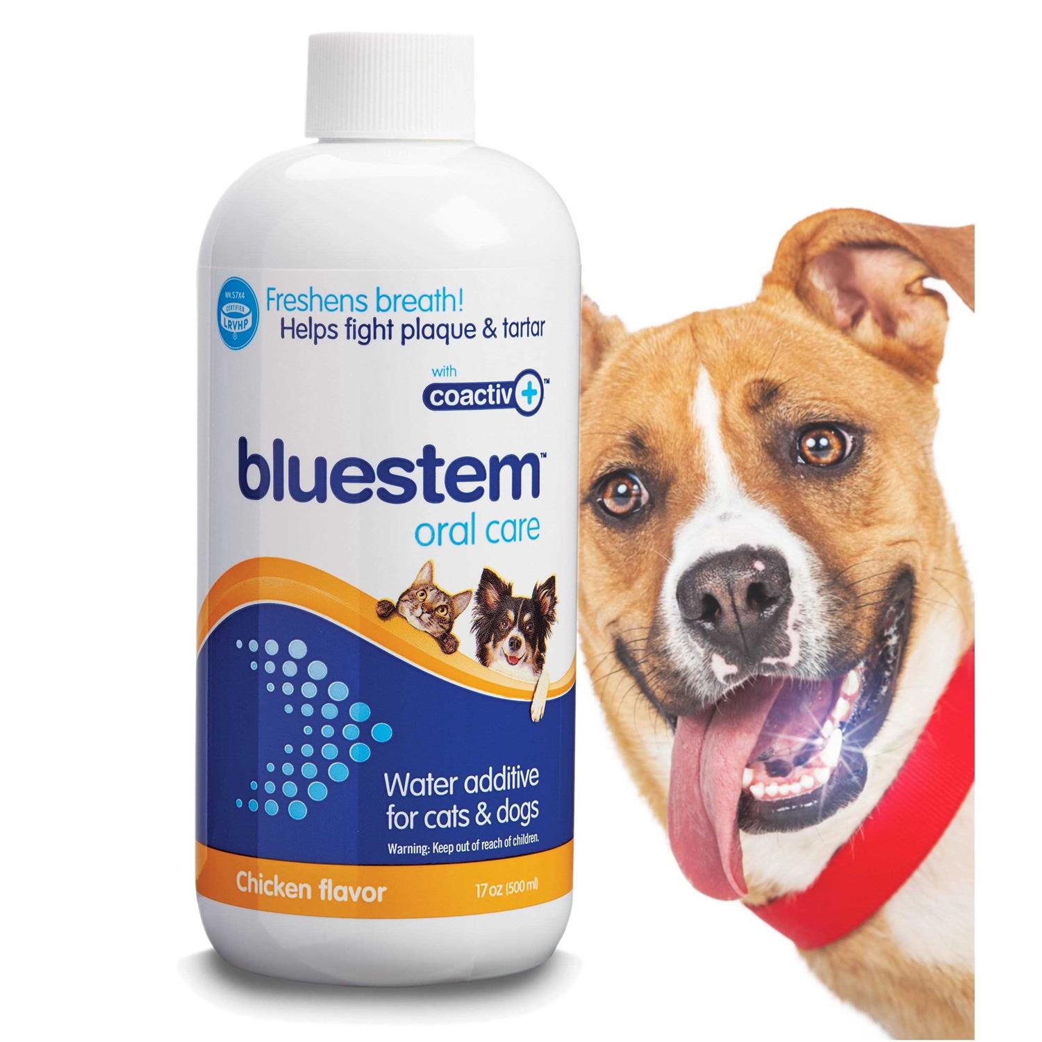 Bluestem Water Additive - Pet Supplies online store