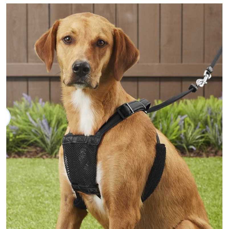 Sporn Stop-Pulling! Dog Harness - Pet Supplies online store