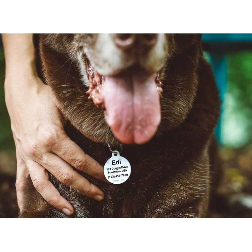 Dog Tag Art Microchip Alert Personalized Dog & Cat ID Tag - Pet Supplies online store