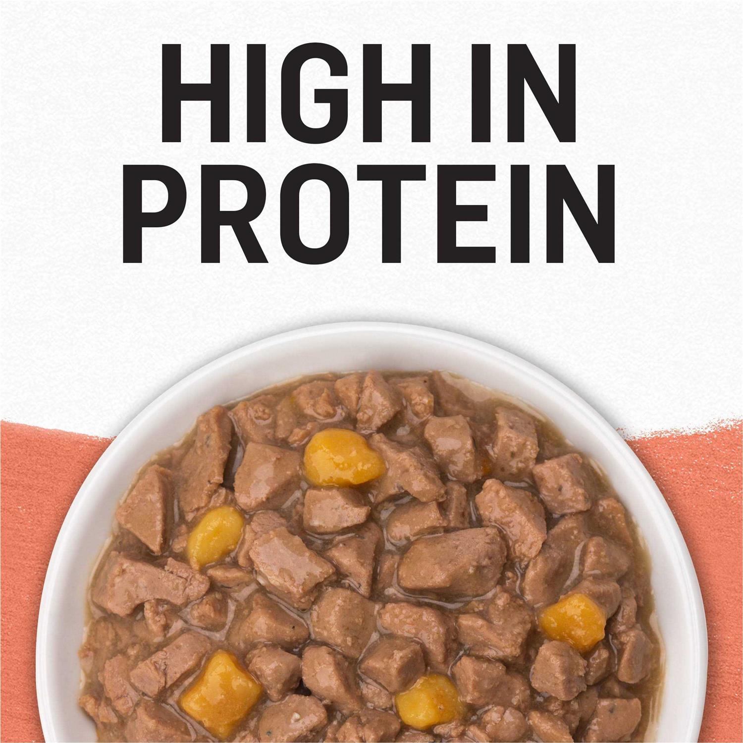 Purina Beyond Grain Free Salmon & Sweet Potato Recipe in Gravy Cat Food - Pet Supplies online store