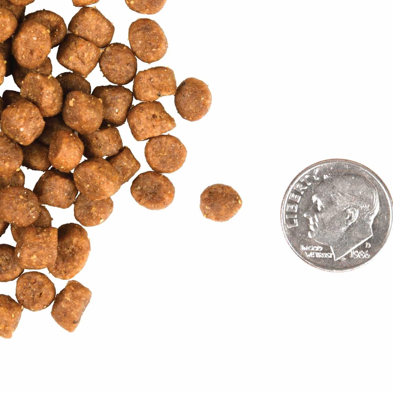 Fromm Gold Cat Food - Pet Supplies online store