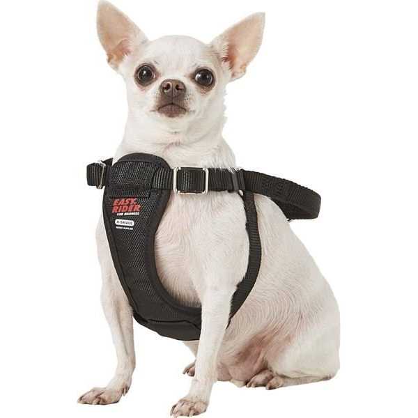 Coastal Pet Easy Rider Car Harness - Pet Supplies online store