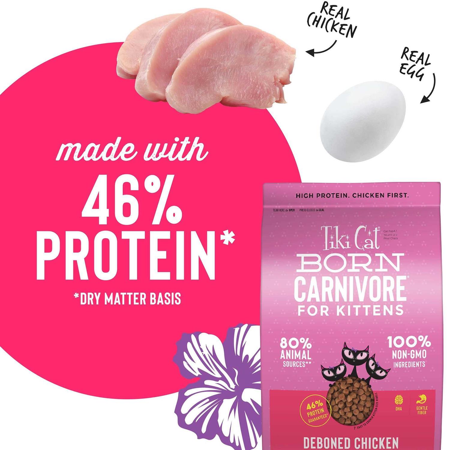 Tiki Cat Born Carnivore Chicken & Egg Kitten Dry Food - Pet Supplies online store