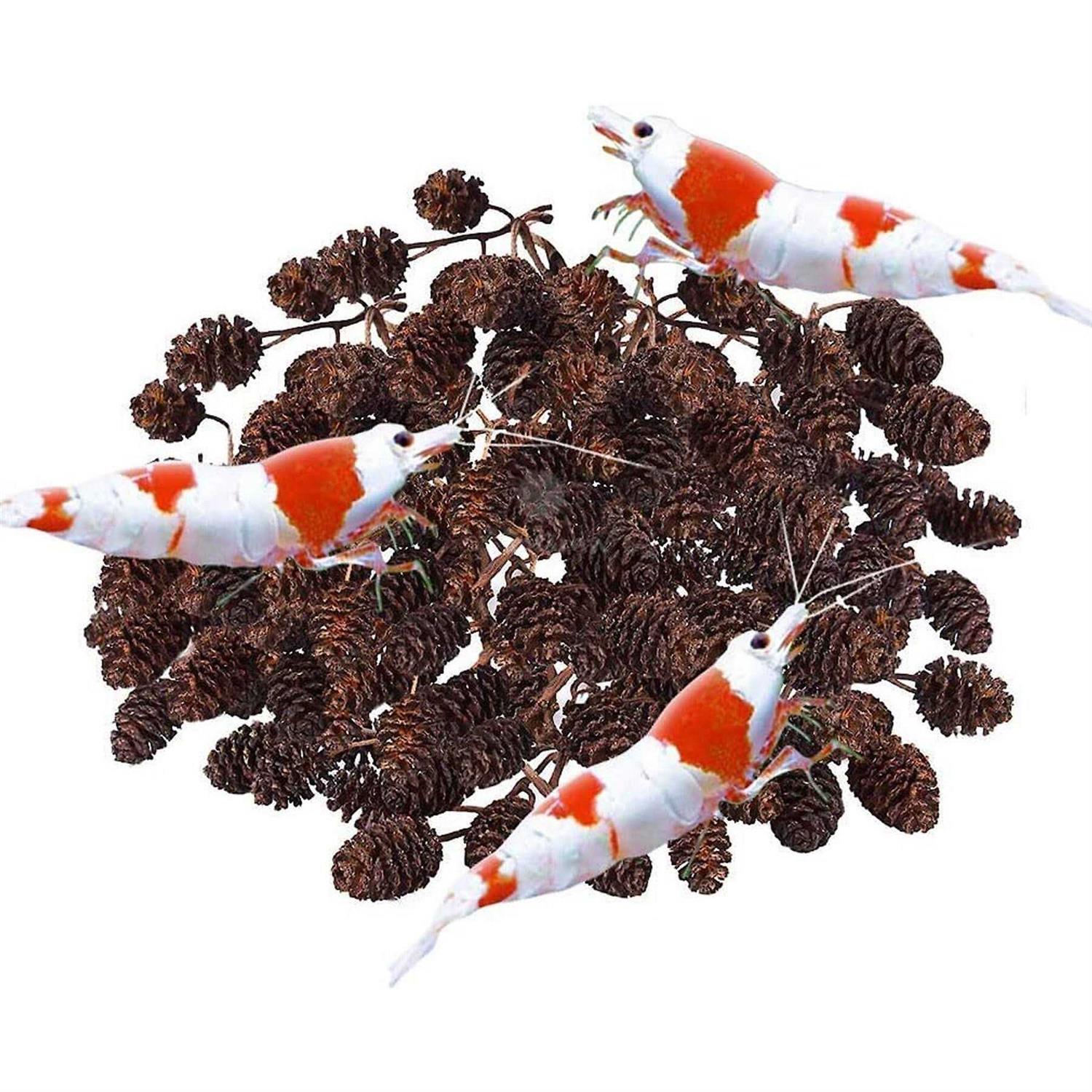 SunGrow Shrimp Breeding Aquarium Tank Water Conditioner & Food Alder Cones - Pet Supplies online store