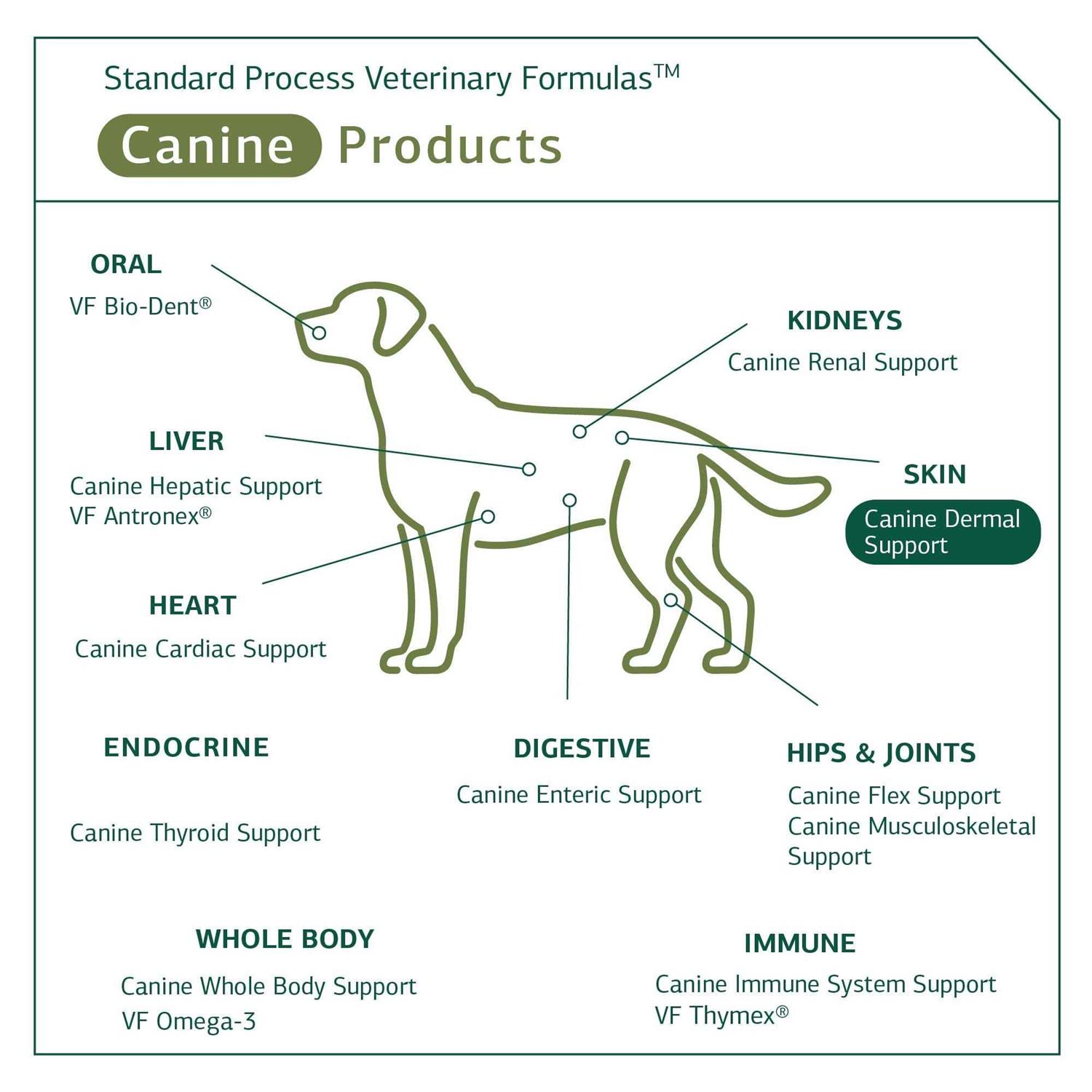 Canine Dermal Support Standard Process - Pet Supplies online store