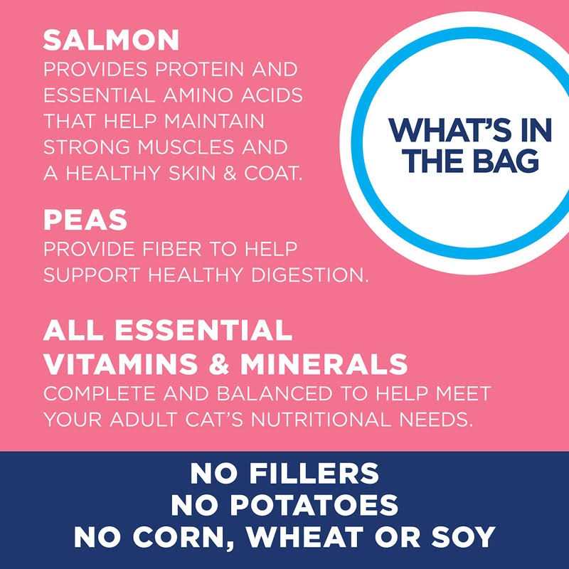 Natural Balance Limited Ingredient Diets Dry Cat Food - Pet Supplies online store