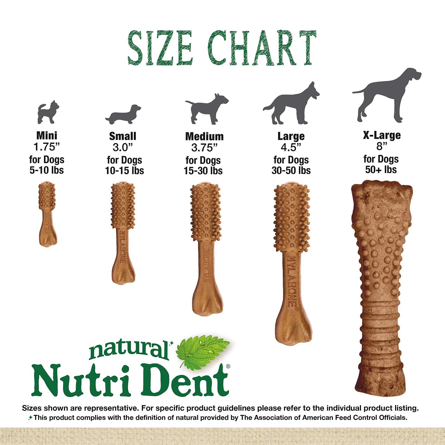 Nylabone Nutri Dent Filet Mignon Flavored Dog Dental Chews - Pet Supplies online store