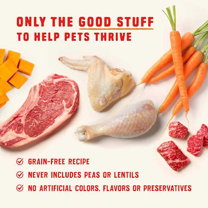 Stella & Chewy's Wild Red High Protein Chicken Stew Recipe Wet Dog Food - Pet Supplies online store