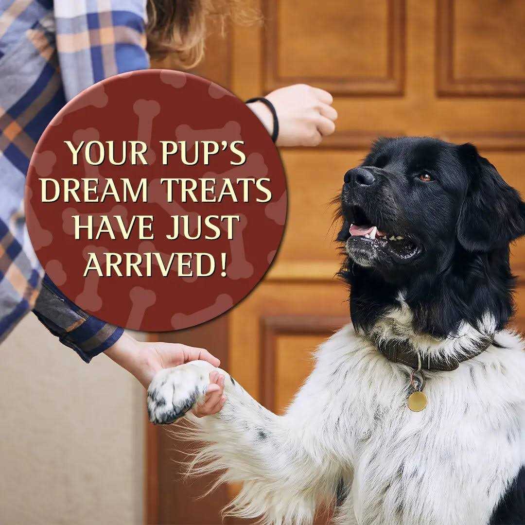 Zignature Soft Moist Dog Treats - Pet Supplies online store