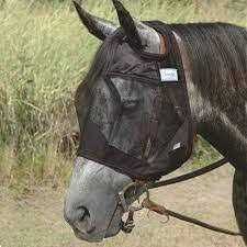 Durasole 4oz - Pet Supplies online store