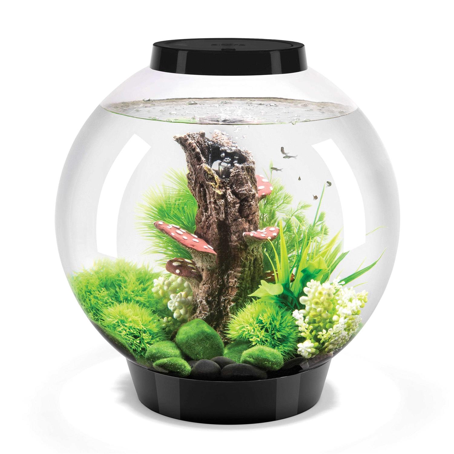 biOrb Classic 60 Aquarium with LED - Pet Supplies online store