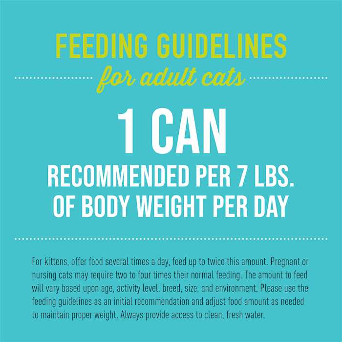 Tiki Cat Luau Pate Wild Salmon Cat Food - Pet Supplies online store