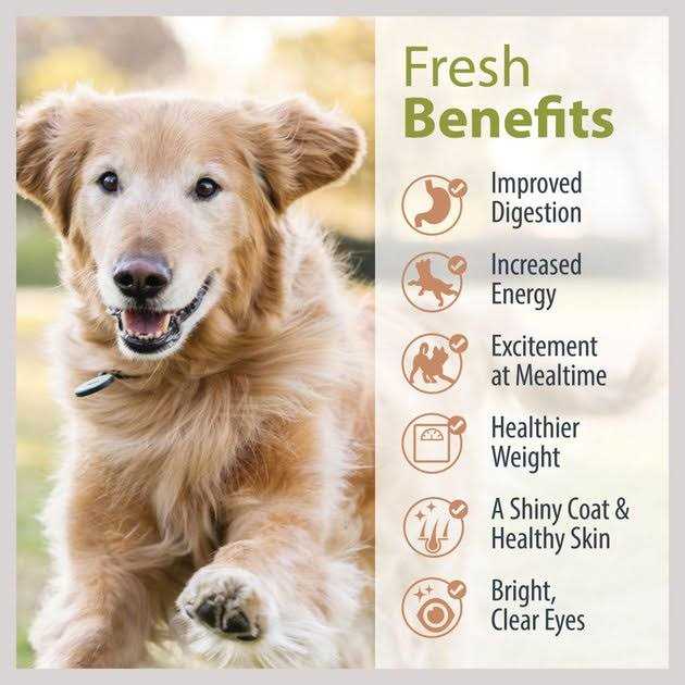 JustFoodForDogs Pantry Fresh Beef Chicken Variety Pack Dog Fresh Food - Pet Supplies online store