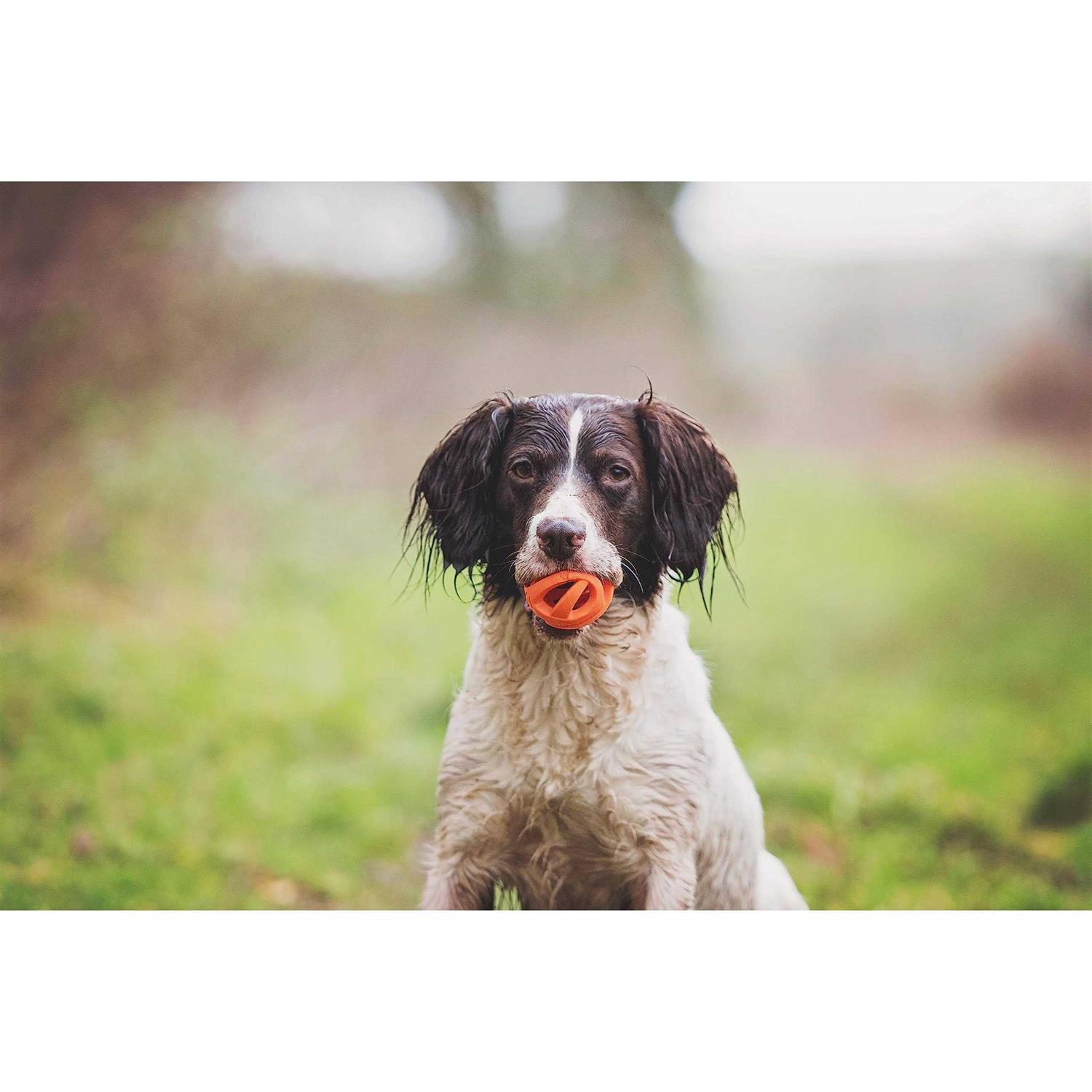 Chuckit! Breathe Right Fetch Ball - Pet Supplies online store