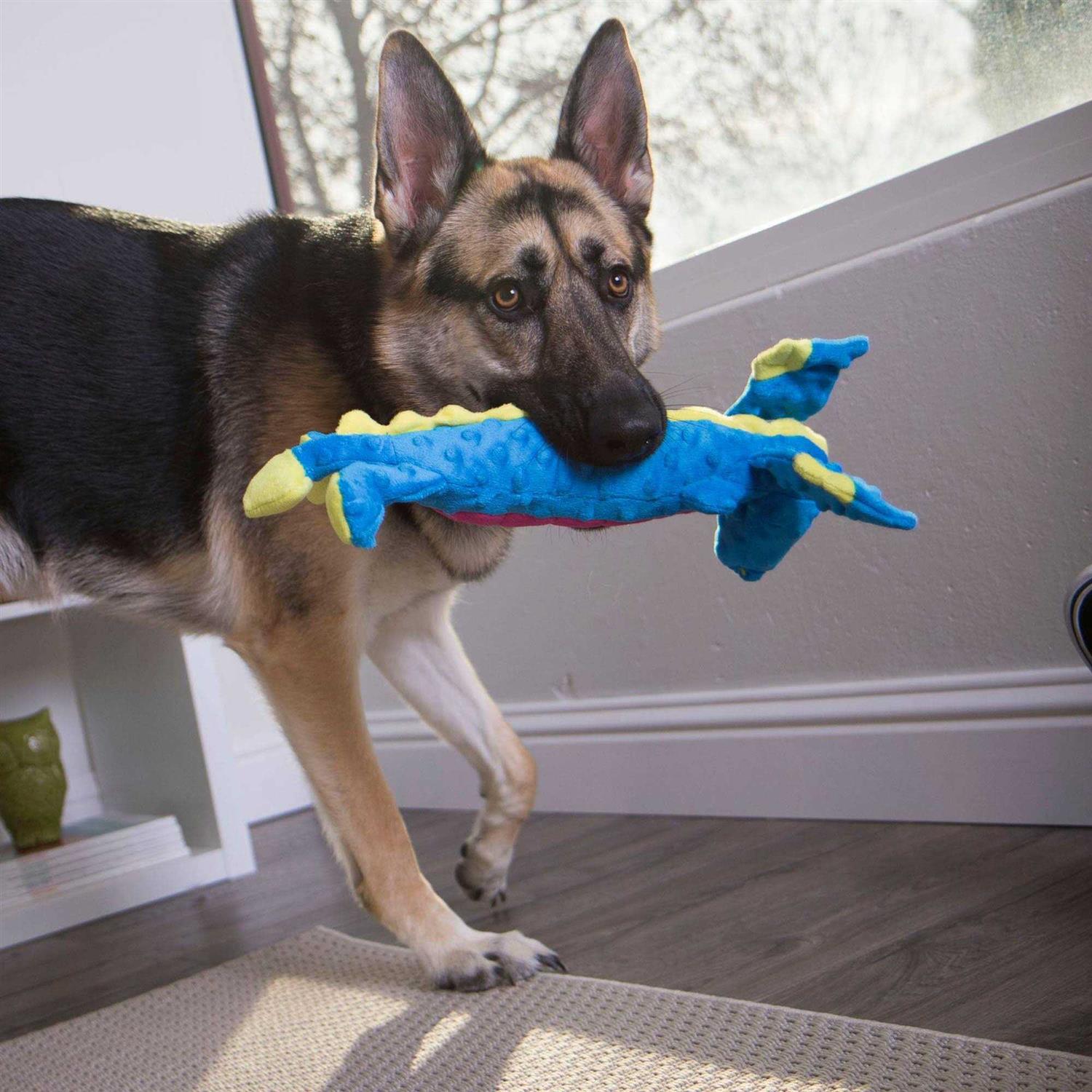 goDog Dragons Skinny Chew Guard Dog Toy - Pet Supplies online store