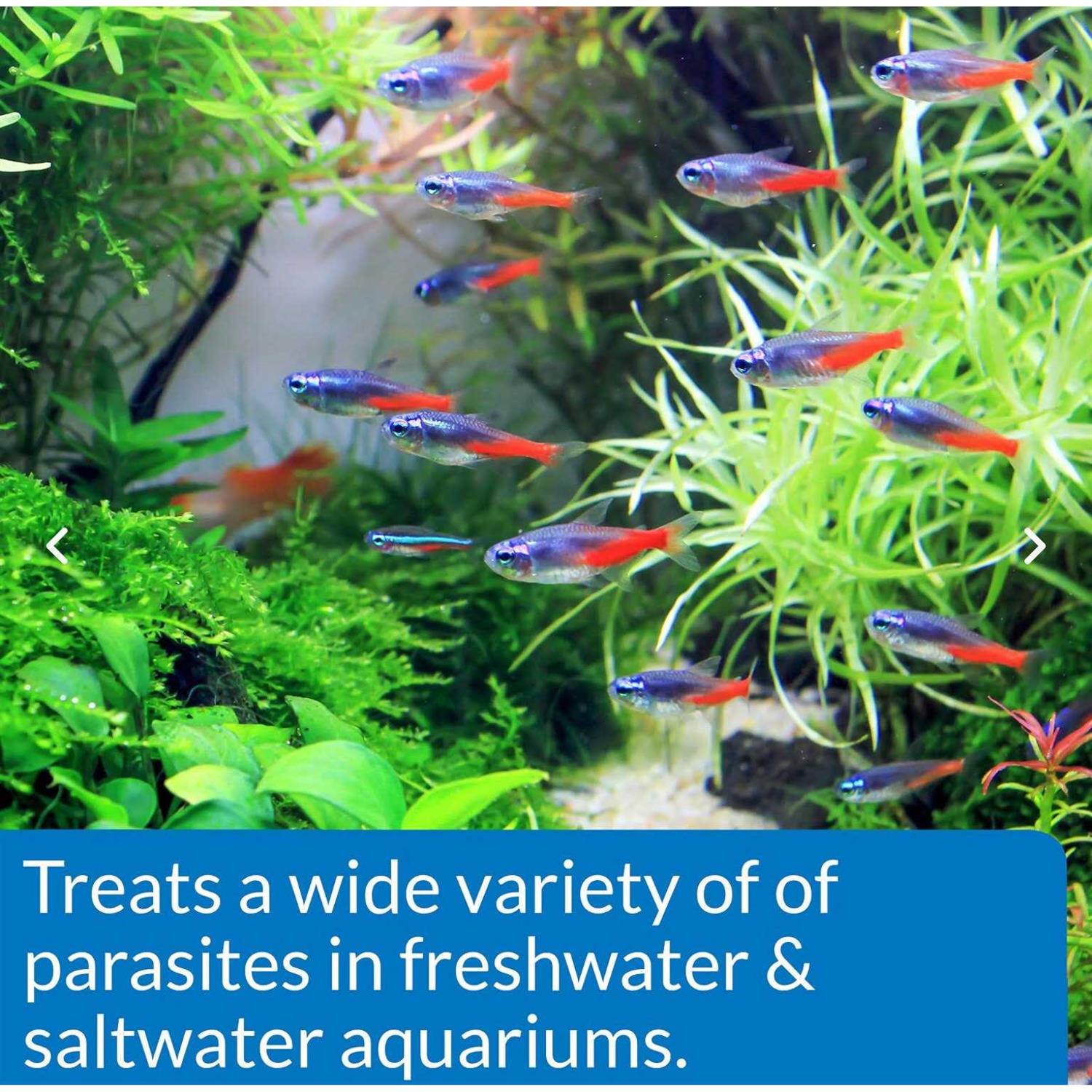 API E.M. Erythromycin Powder - Pet Supplies online store