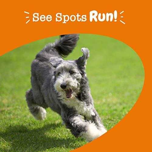 Zesty Paws Stay Green Bites for Dogs - Pet Supplies online store