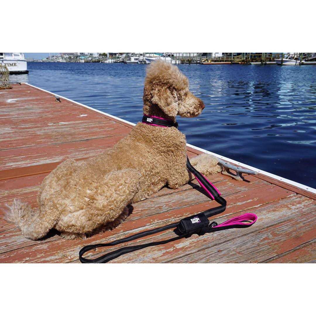 Black Rhino The Comfort Collar Ultra Soft Neoprene Padded Dog Collar for All Breeds - Pet Supplies online store