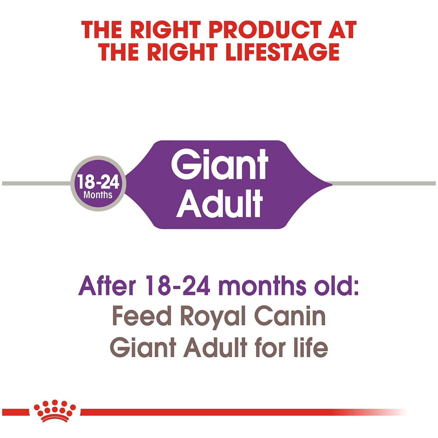 Royal Canin Dog Food Giant Adult - Pet Supplies online store
