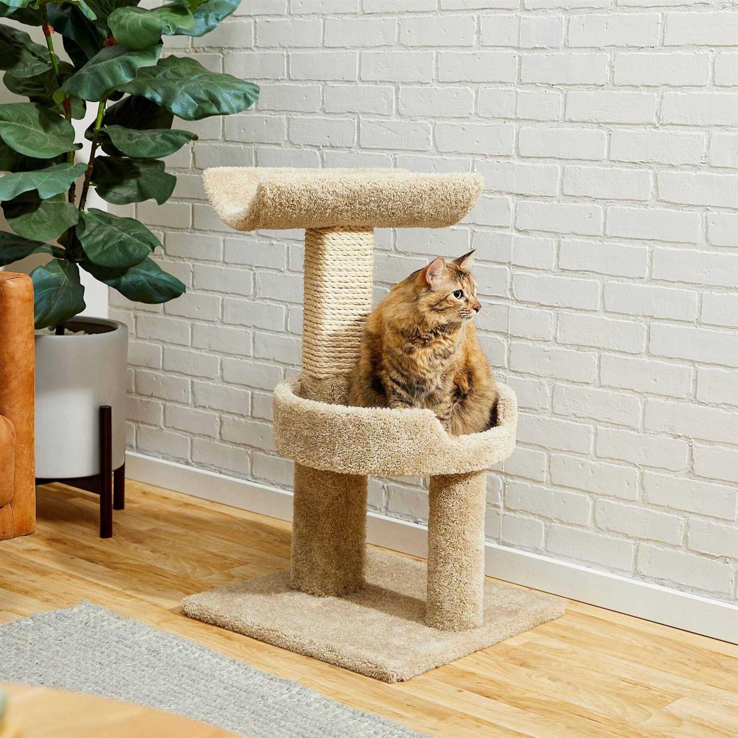 Frisco 32-in Real Carpet Wooden Cat Tree - Pet Supplies online store