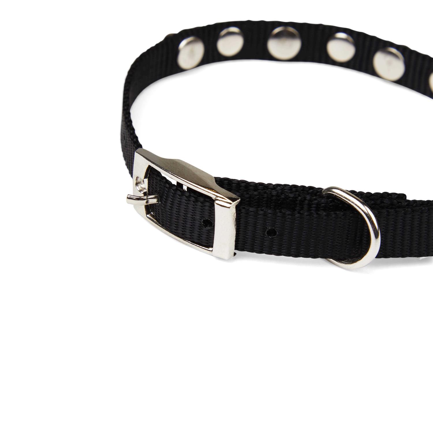 YOULY Black Bling Dog Collar - Pet Supplies online store