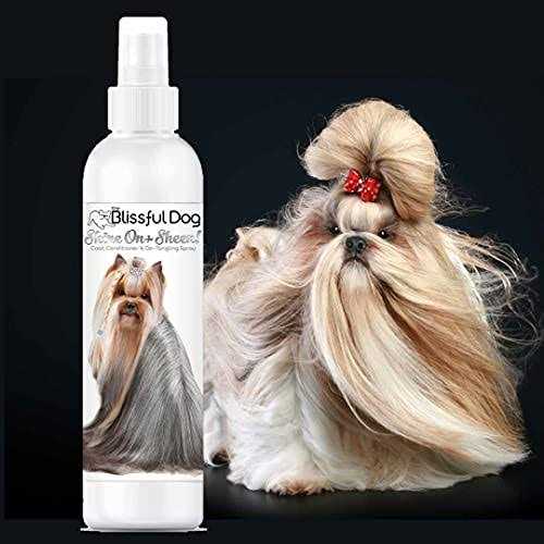 The Blissful Dog Shine-On + Sheen Coat Spray, All Natural, Leave-in Conditioner and Coat Detangler for Your Dog - Pet Supplies online store