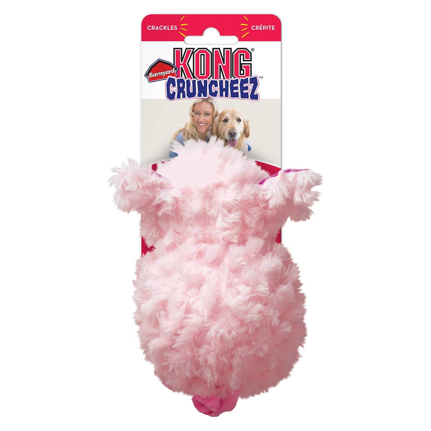 Kong Barnyard Cruncheez Pig Dog Toy - Pet Supplies online store