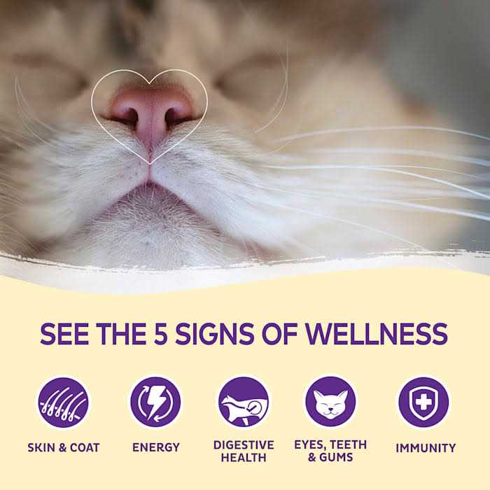 Wellness Kittles Cat Treats - Pet Supplies online store