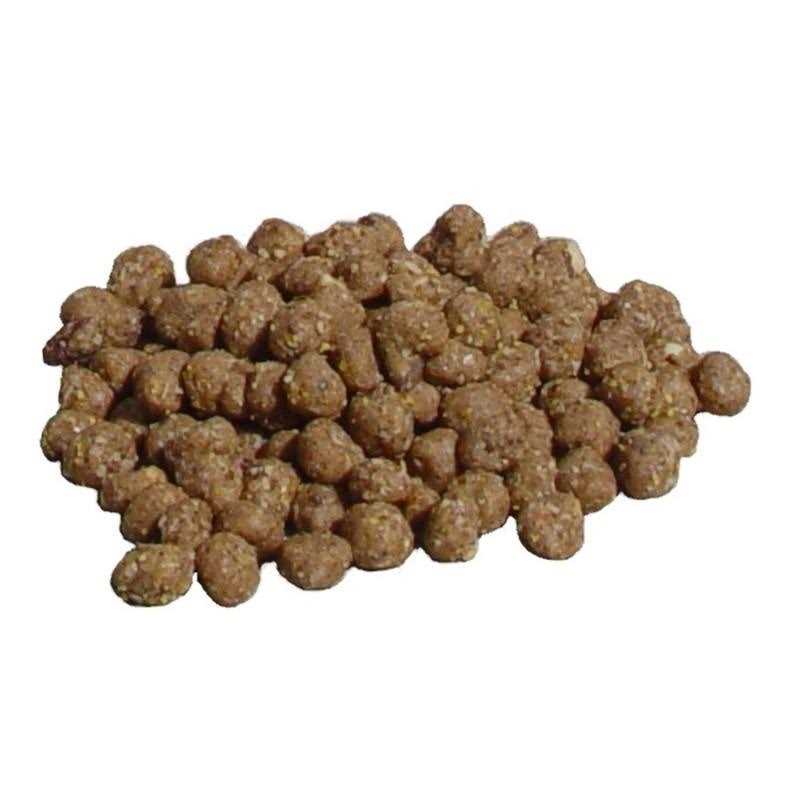 C&S Peanut Suet Nuggets - Pet Supplies online store