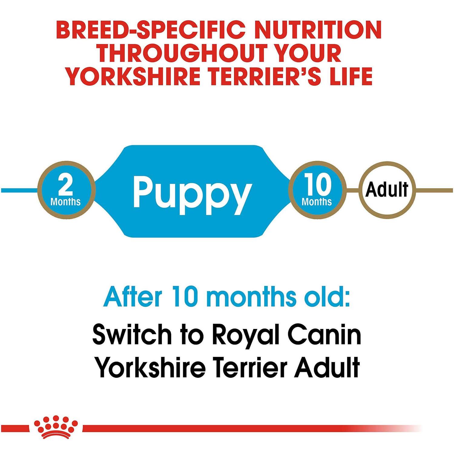 Royal Canin Breed Health Nutrition Yorkshire Terrier Puppy Dry Dog Food - Pet Supplies online store