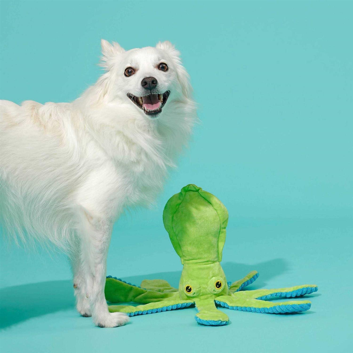 BARK Billy The Squid Dog Toy - Pet Supplies online store