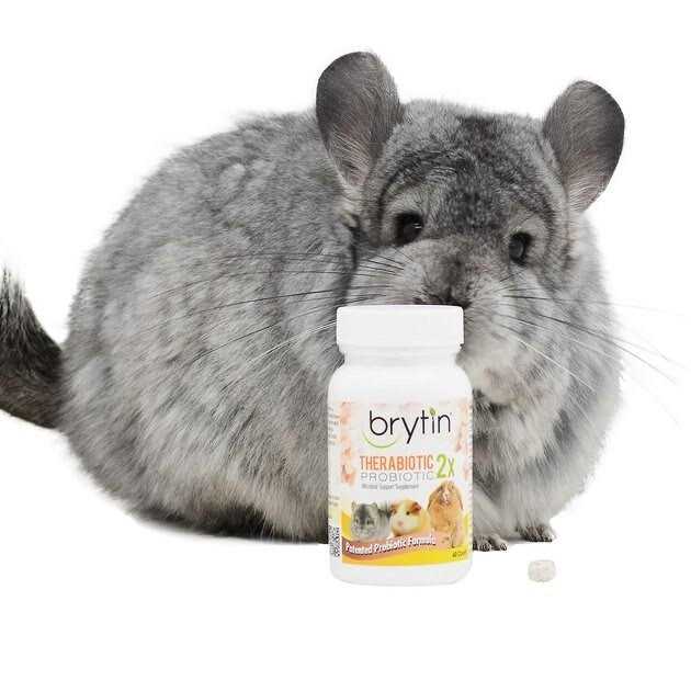 Brytin TheraBiotic 2X Probiotic Microbial Support Supplement - Pet Supplies online store