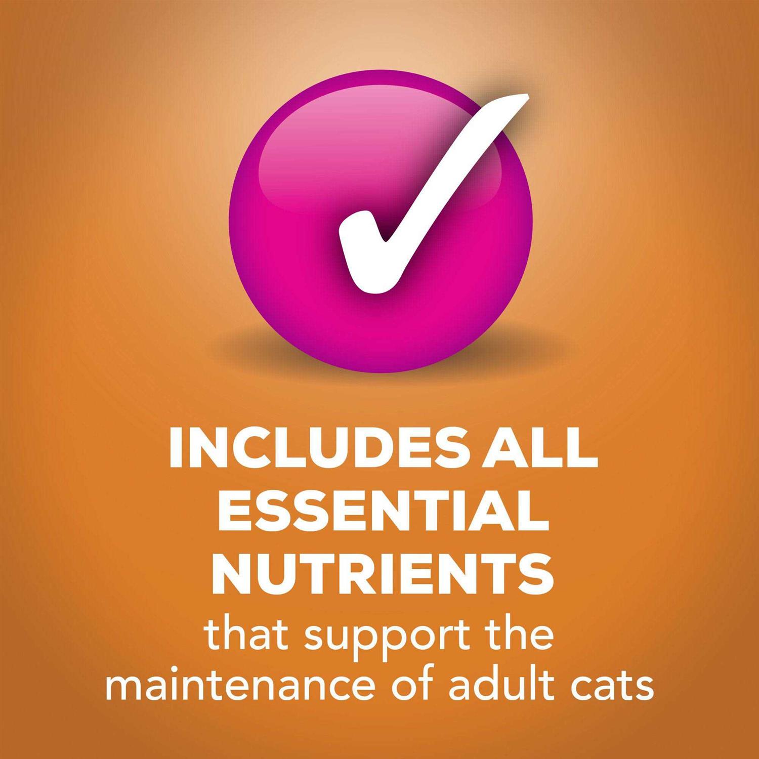 Purina Friskies Extra Gravy Pate Wet Cat Food Gravy - Pet Supplies online store