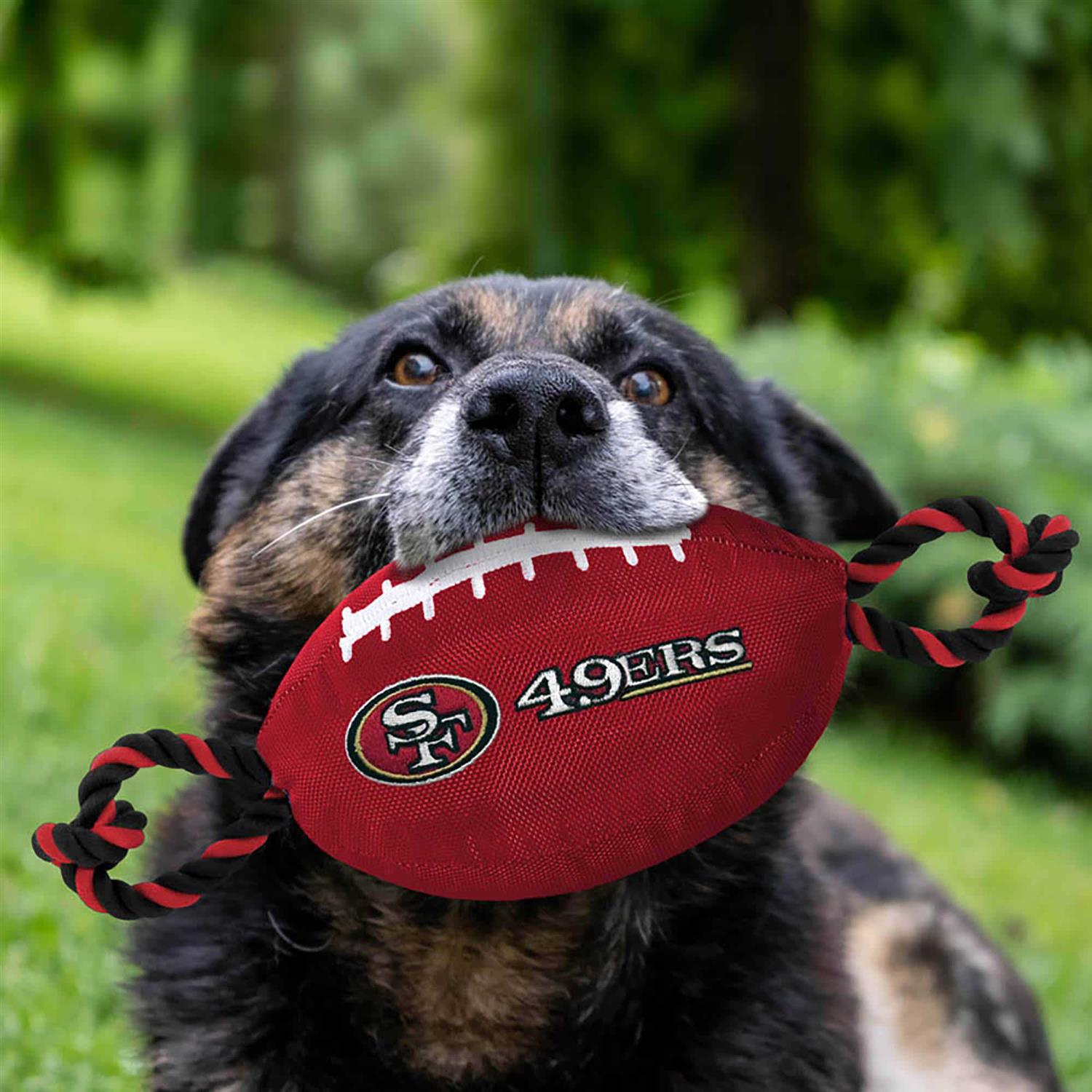 San Francisco 49ers Nylon Football - Pet Supplies online store