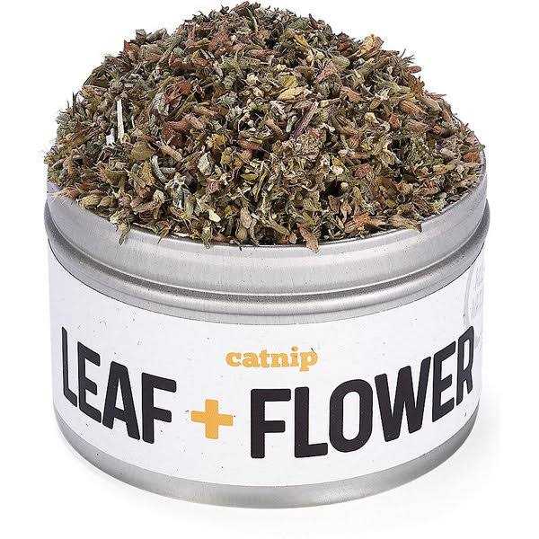 Litterbox.com™ Silver Vine Catnip in Bisque - Pet Supplies online store