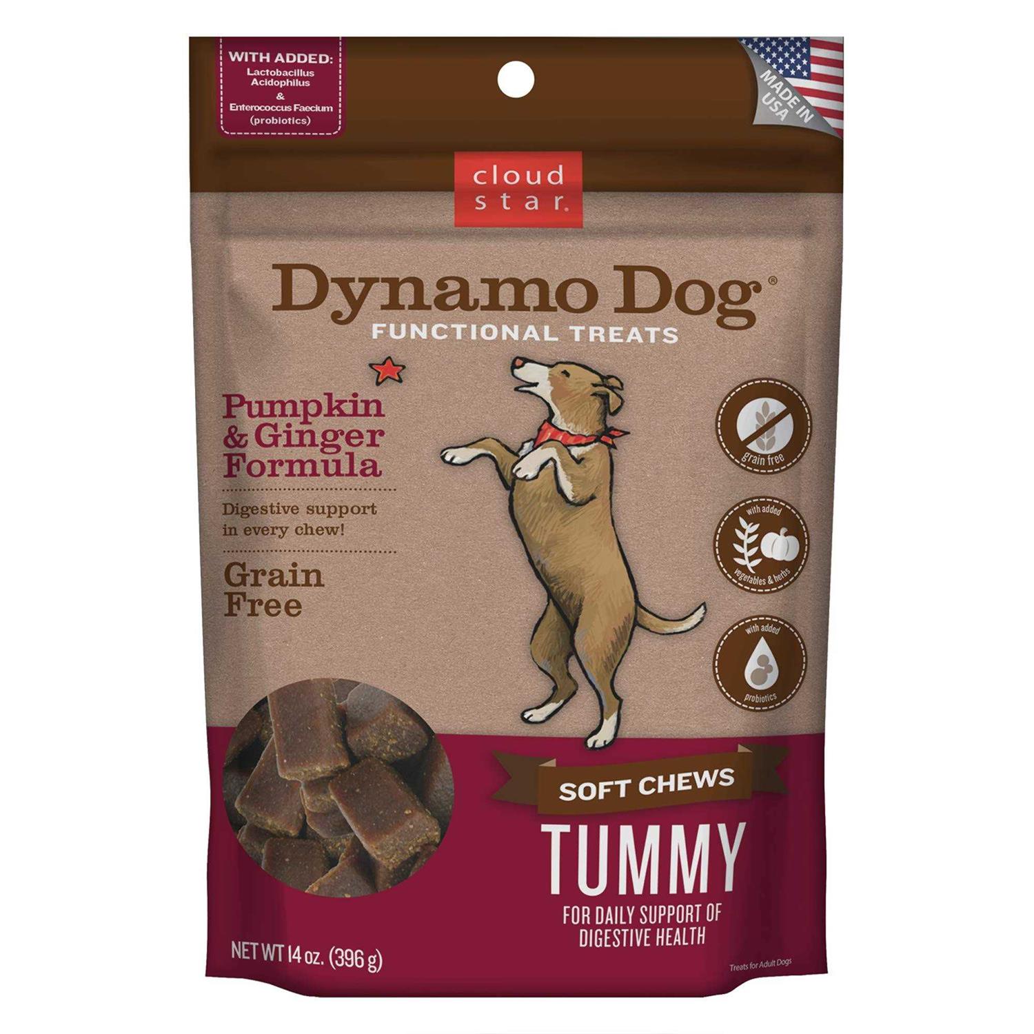 Cloud Star Dynamo Dog Pumpkin & Ginger Tummy Treats - Pet Supplies online store