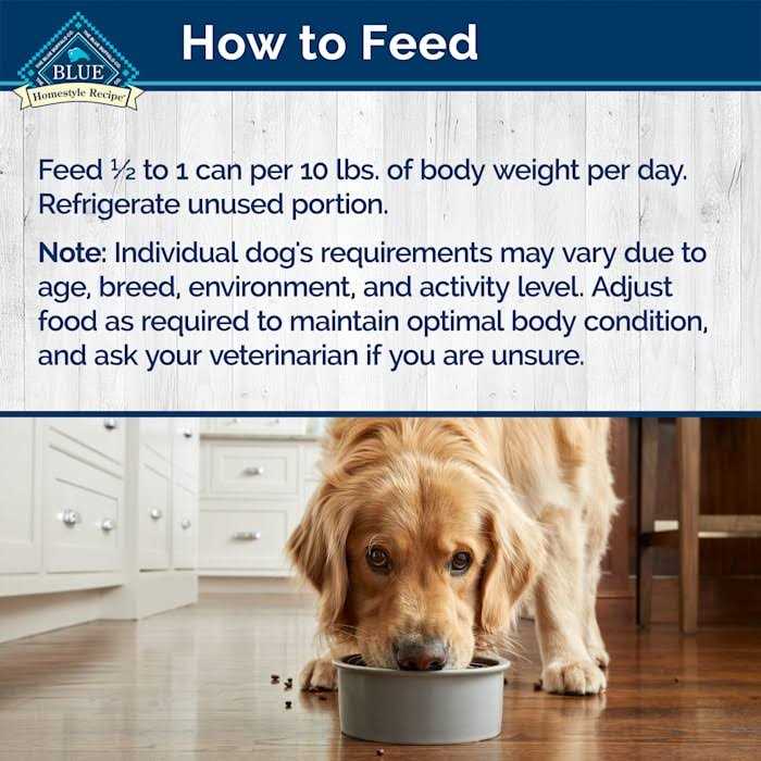 Blue Buffalo Homestyle Recipe Turkey Meatloaf Dinner Wet Dog Food - Pet Supplies online store