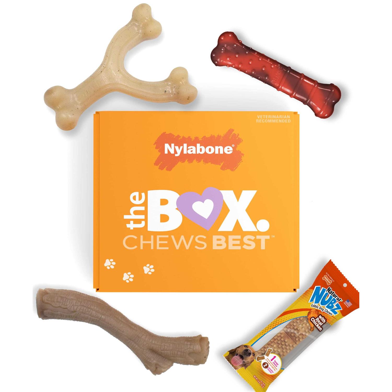 Nylabone The Box Chew Toy & Treat Gift Box Dogs - Pet Supplies online store