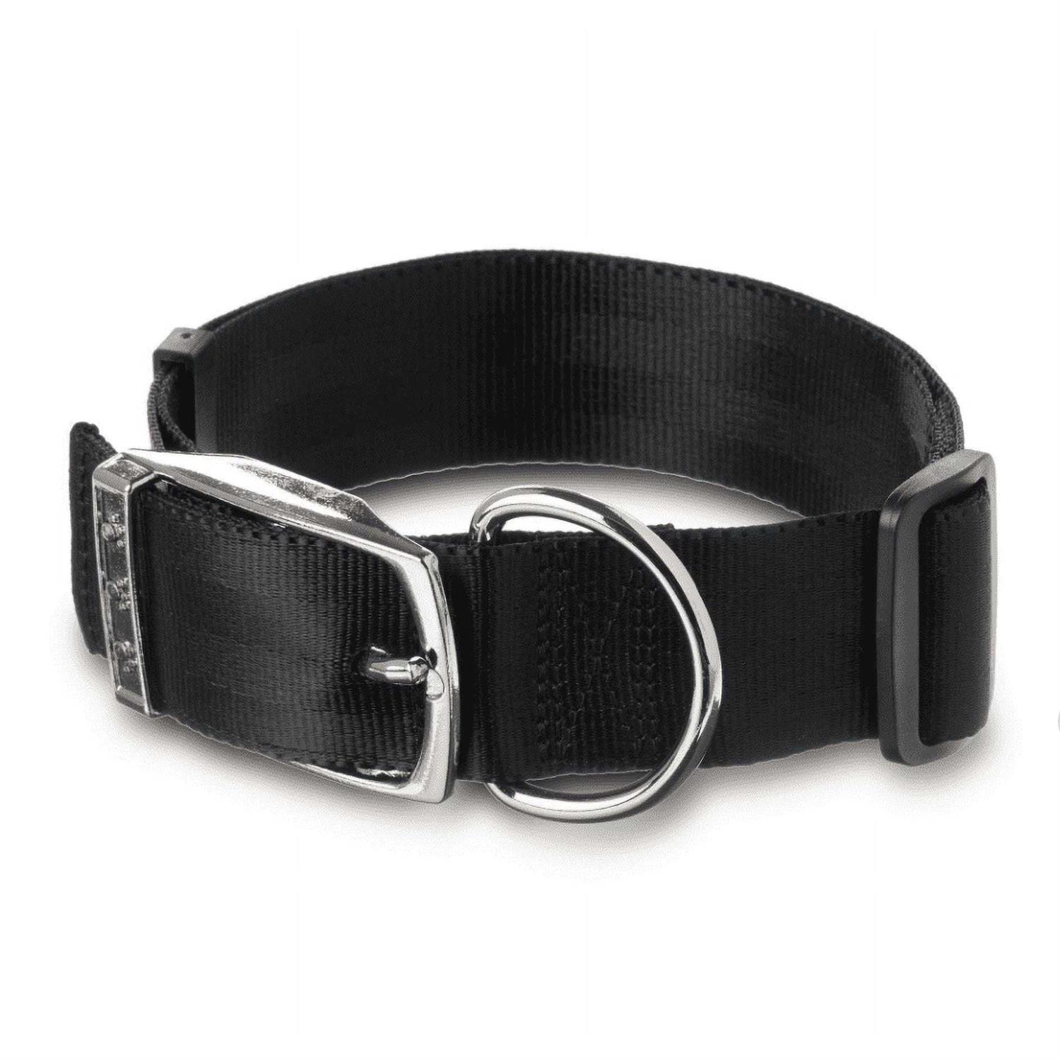 Vibrant Life Solid Dog Collar with Metal Buckle - Pet Supplies online store