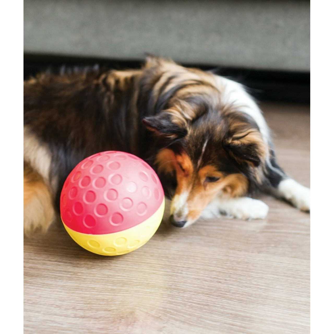 Nina Ottosson Treat Tumble Dog Toy - Pet Supplies online store