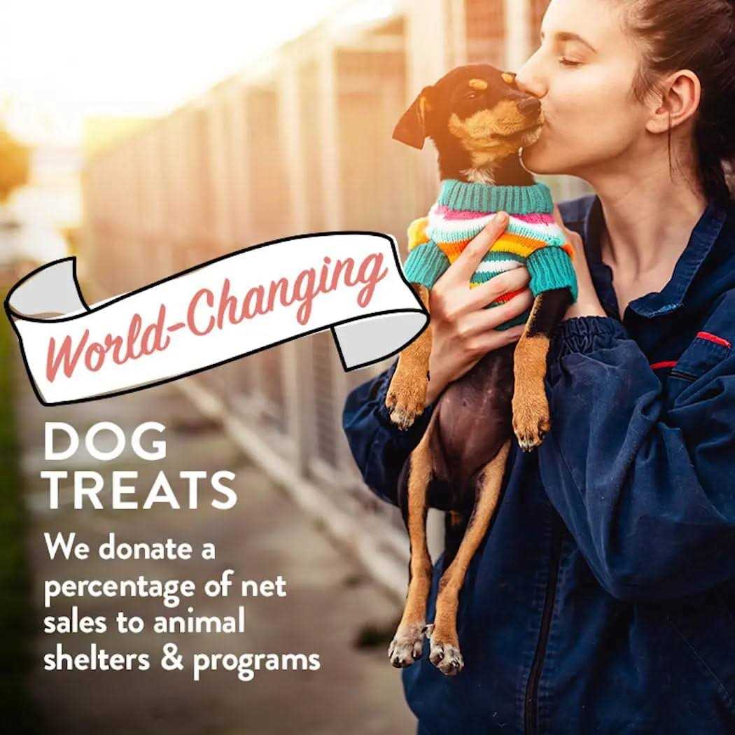 Portland Pet Food Company Bacon Biscuits Grain-Free & Gluten-Free Dog Treats - Pet Supplies online store