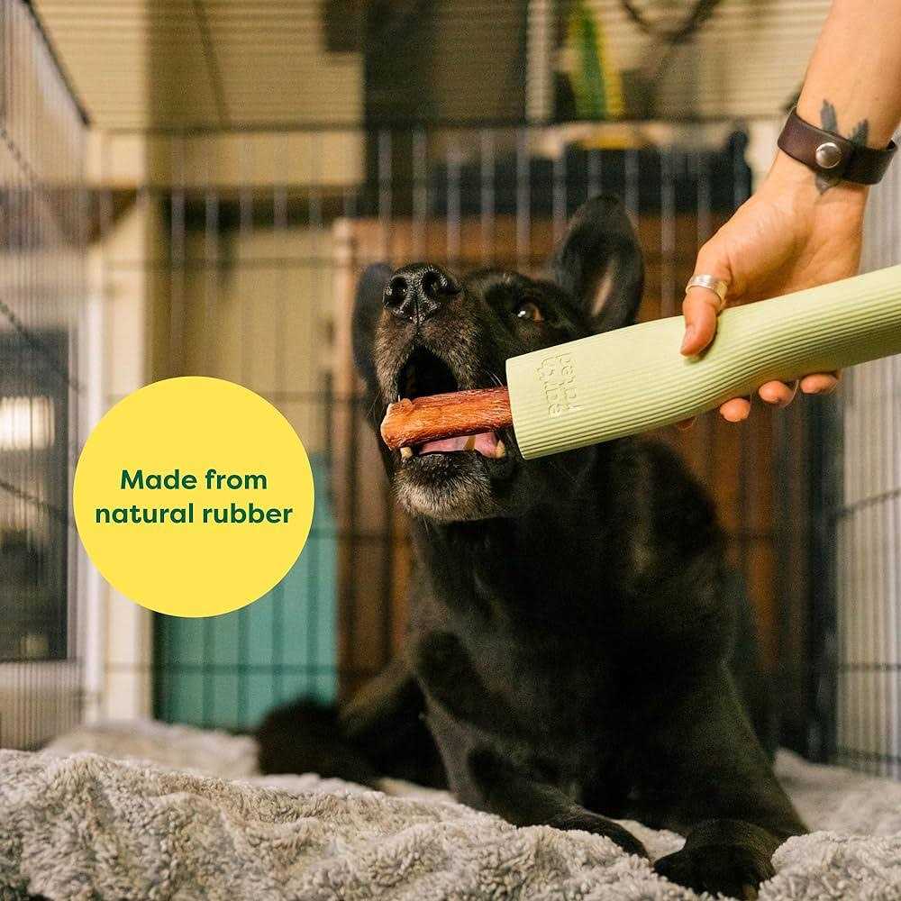 Earth Rated Rubber Chew Dog Toy - Pet Supplies online store