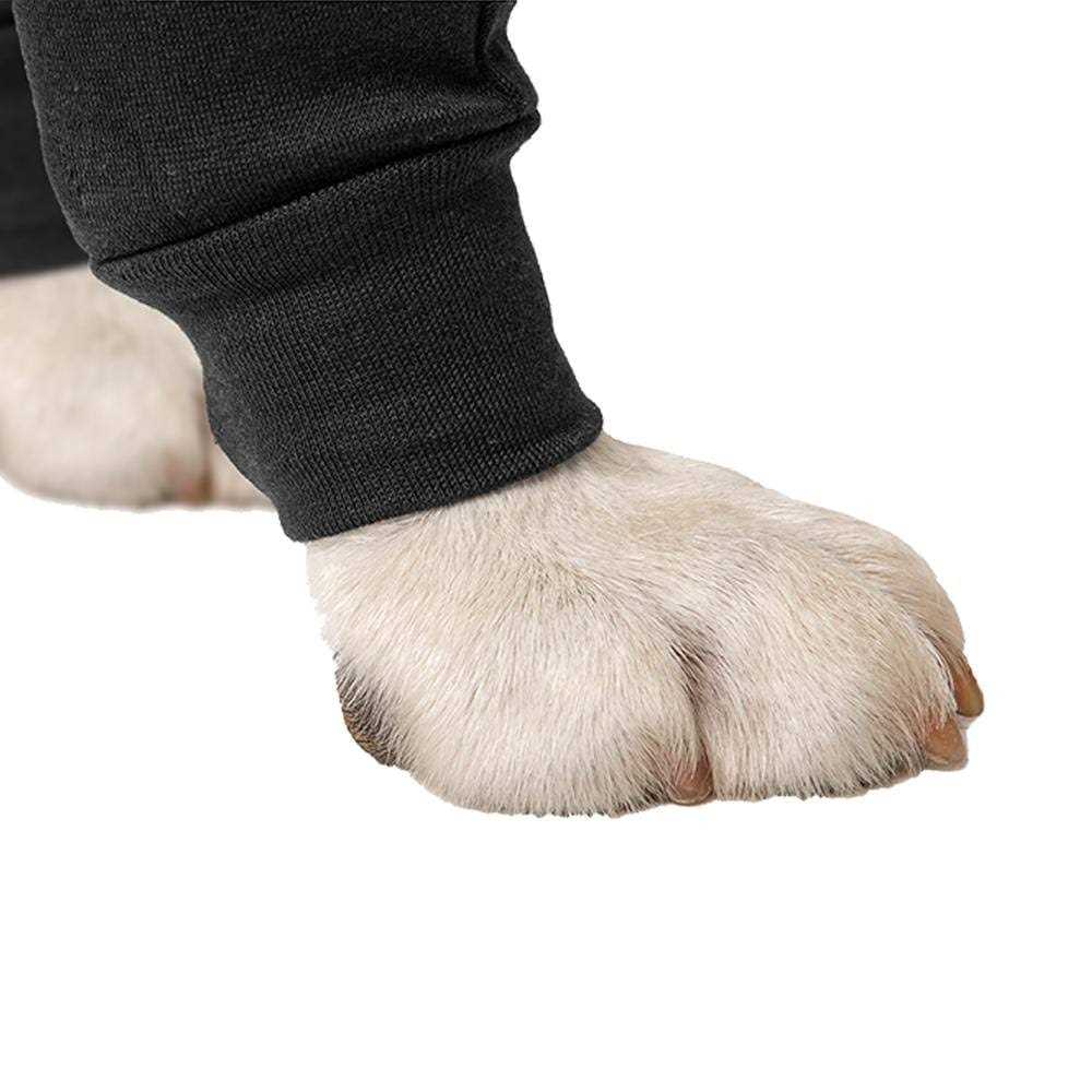 Suitical Dog Recovery Double Sleeves - Pet Supplies online store