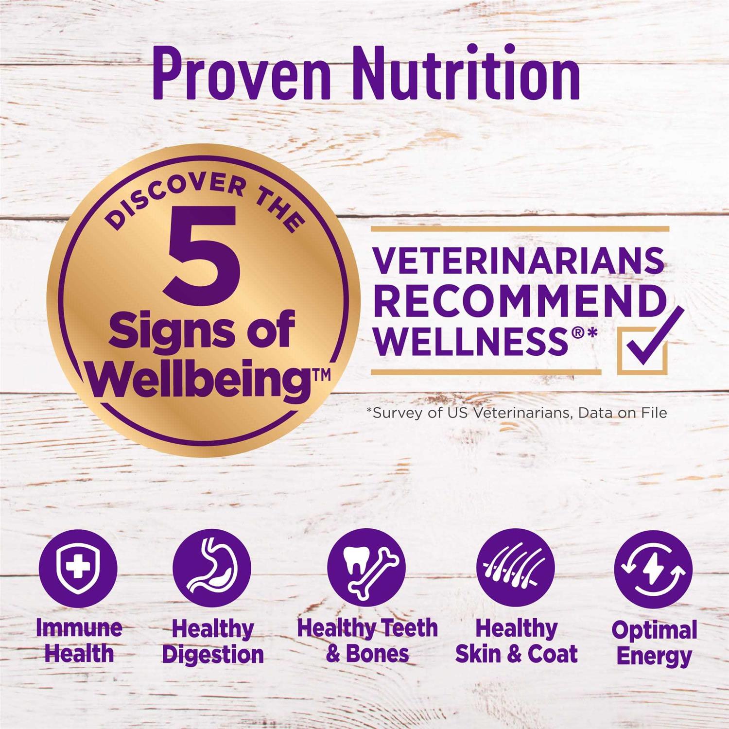 Wellness Complete Health Small Breed Senior Dry Dog Food - Pet Supplies online store